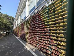 -西北湖绿化广场