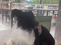 -艾贝尔宠物医院 ·中兽医·宠保定点(北门桥店)