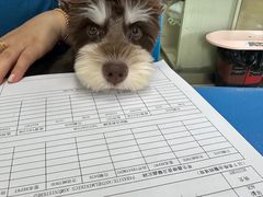 -瑞派申生动物医院·24H夜诊·国际动物医疗中心·骨外科(吴中路店)