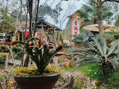 -青城甲(青城山店)