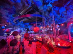 -武汉富力威斯汀酒店·宴会厅