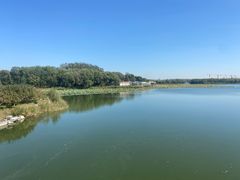 -大兴滨河森林公园