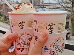 -茶颜悦色(岳麓山顶店)