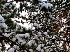 -长春市南湖公园