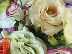 -ChaKo Flora ·茶子花艺 (市北店)