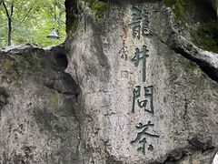 -龙井村