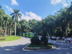 -深圳仙湖植物园