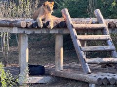 -石家庄市动物园