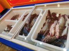 -小火炕铁锅炖鱼