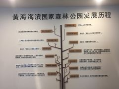 -黄海国家森林公园