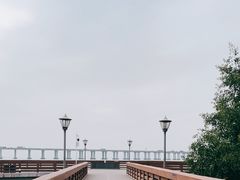 -宝安西湾红树林湿地公园