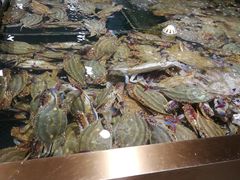 海螃蟹-七鲜超市(通州ONE店)