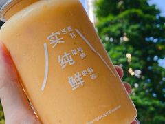 -野萃山·潮汕厚果汁(十亩地店)