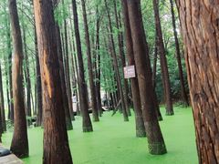 -云龙湖旅游景区