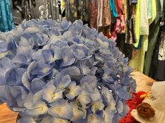 -樹下遇见树·咖啡