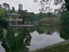 -晓港公园