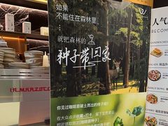 -THE WOODS 简餐 (国贸商城店)