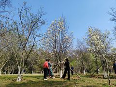 -沈阳植物园