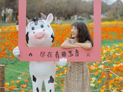 -秀丽东方