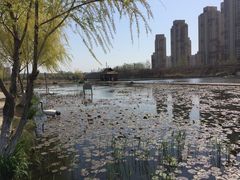 -前关湿地公园