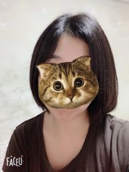 -Y-STUDIO原理