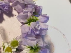 -5Cake五度无蔗糖低脂蛋糕(陶然亭店)