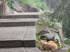 -崂山巨峰游览区