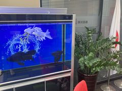 -华兴日语学校(总校)