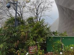 -深圳市当代艺术与城市规划馆