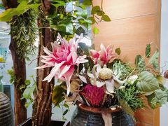 -茶颜悦色(银盆岭万达广场店)