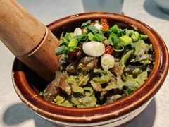 -洞庭家宴·头牌甲鱼(广渠门店)