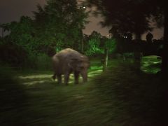 -老伴豆花(麦士威熟食中心店)