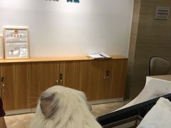 -美联众合动物医院·24h转诊中心