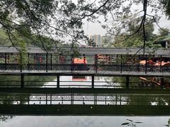 -荔湾湖公园