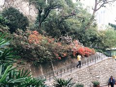 -九龙公园