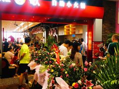 -龍歌自助小火锅(市南金茂湾店)