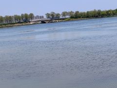-天津东丽湖风景区