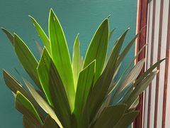 -蓉城小馆(科兴店)