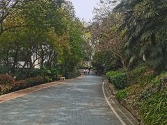 -北极阁公园