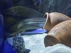 -南昌融创海世界