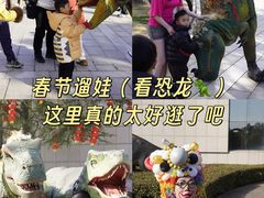 -中国西峡恐龙遗迹园