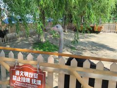 -白渔泡湿地公园