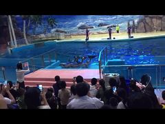 -福州罗源湾海洋世界旅游区