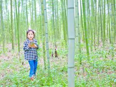 -黄海国家森林公园