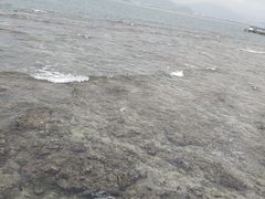-三亚西岛海洋文化旅游区