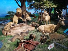 -国家自然博物馆