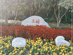 -青枫公园