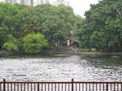 -荔湾湖公园