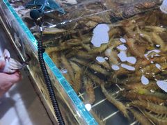 -聚盛源蒸汽海鲜火锅烤肉自助(巨川金海岸购物广场店)