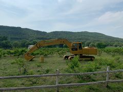 -大连铭湖国际观光牧场